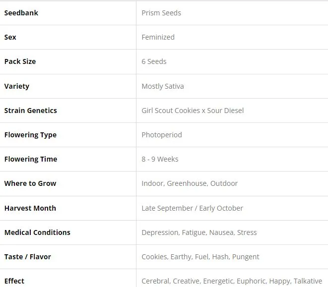 SEE025: GSC x Sour Diesel FEM 6 Seeds